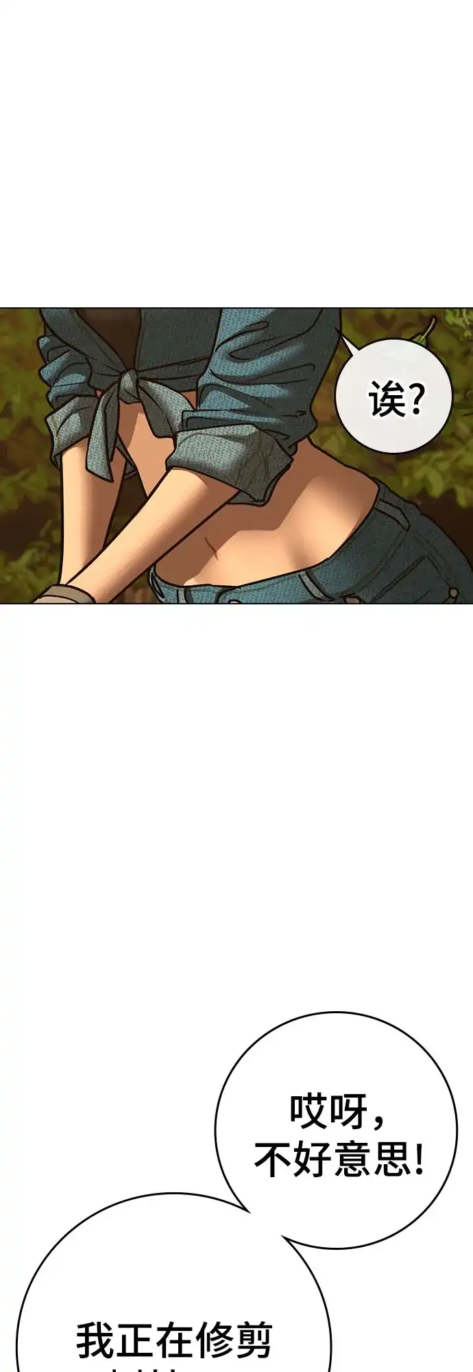 第223页