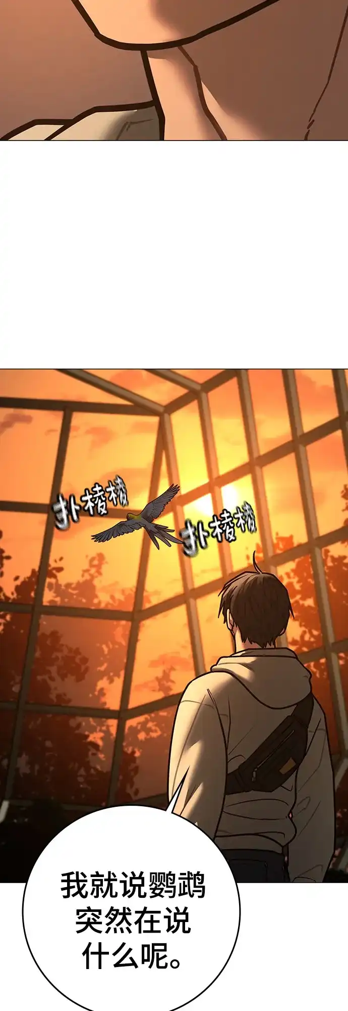 第197页