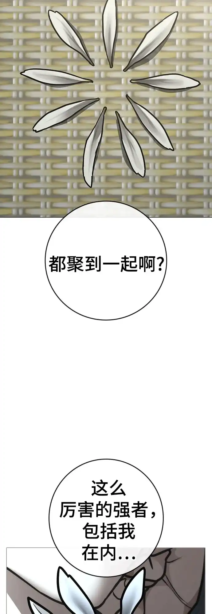 第250页