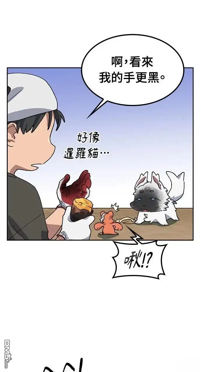 第148页