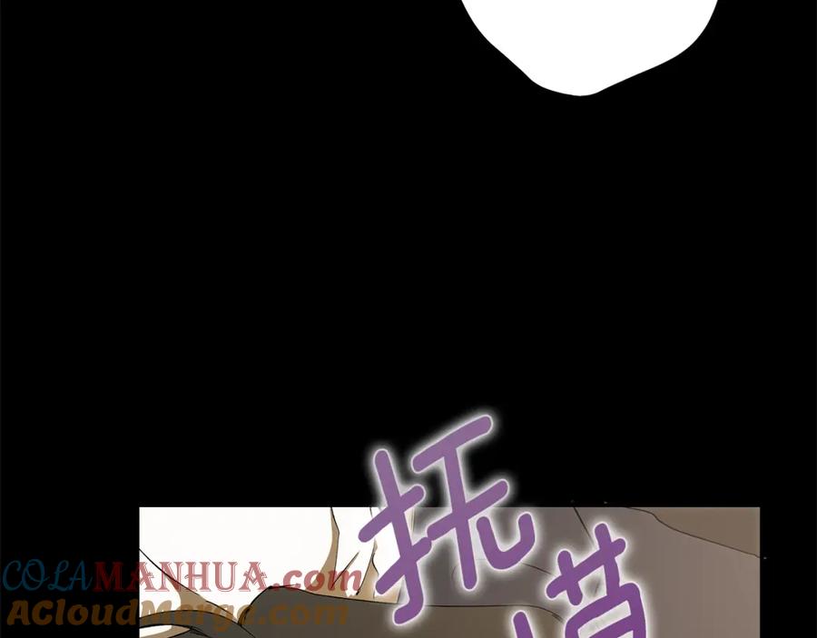 第205页