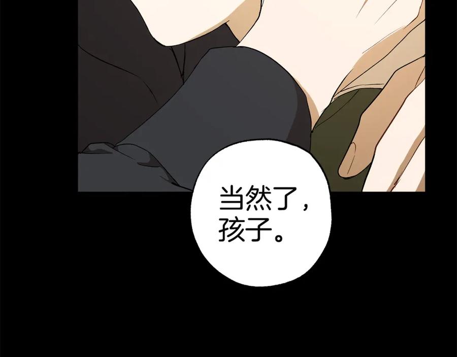 第207页