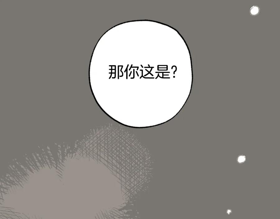 第234页