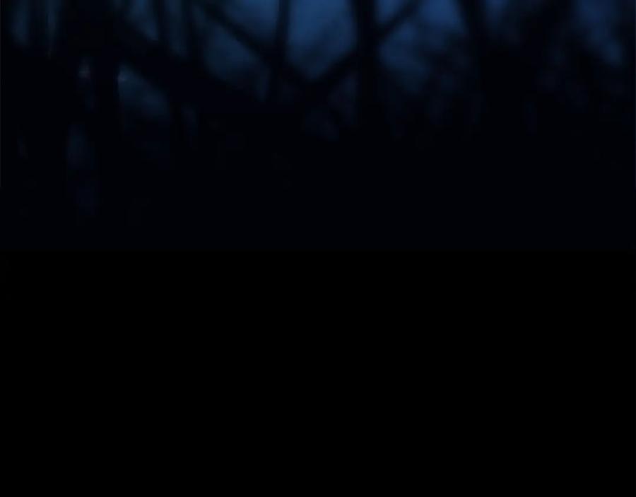 第336页