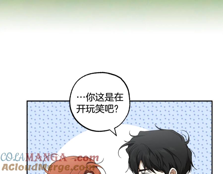 第242页