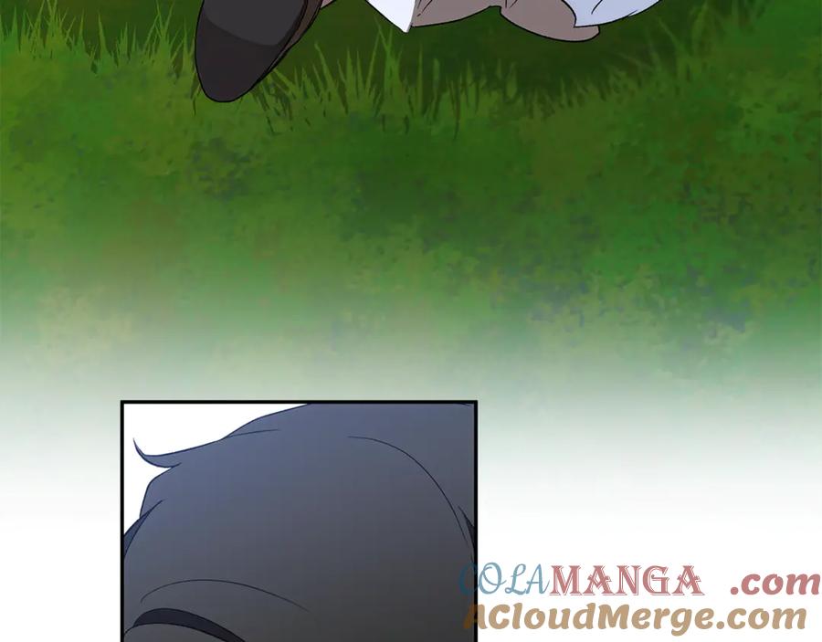 第338页