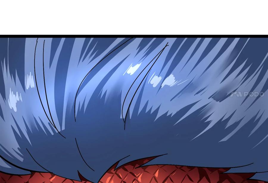 第295页