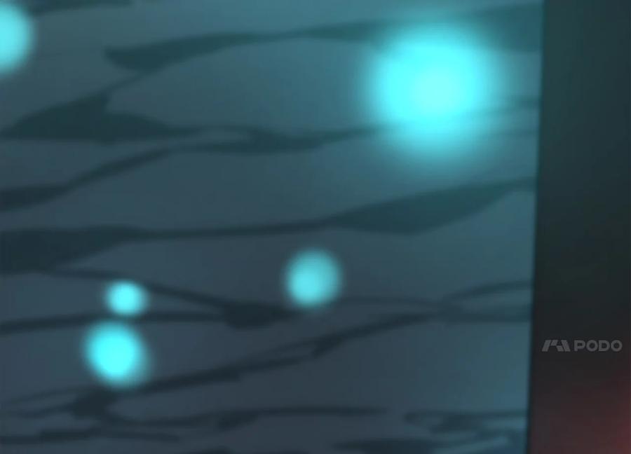 第219页