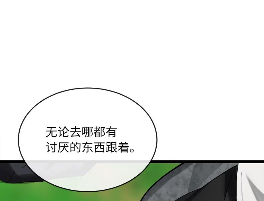 第242页
