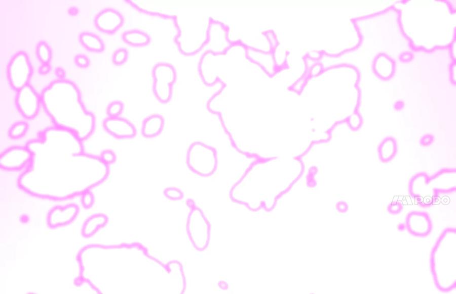 第283页