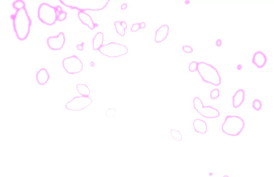 第284页