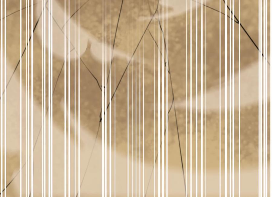 第288页