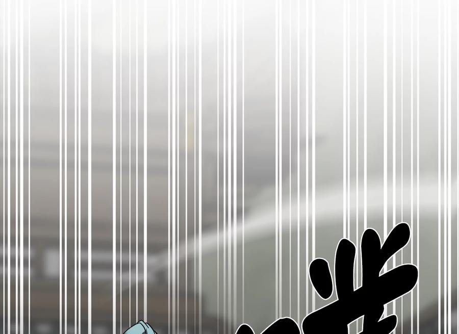 第244页
