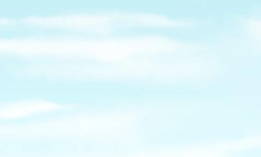 第295页