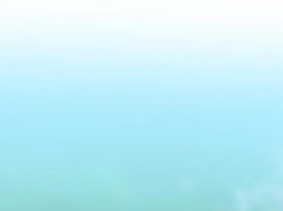 第206页