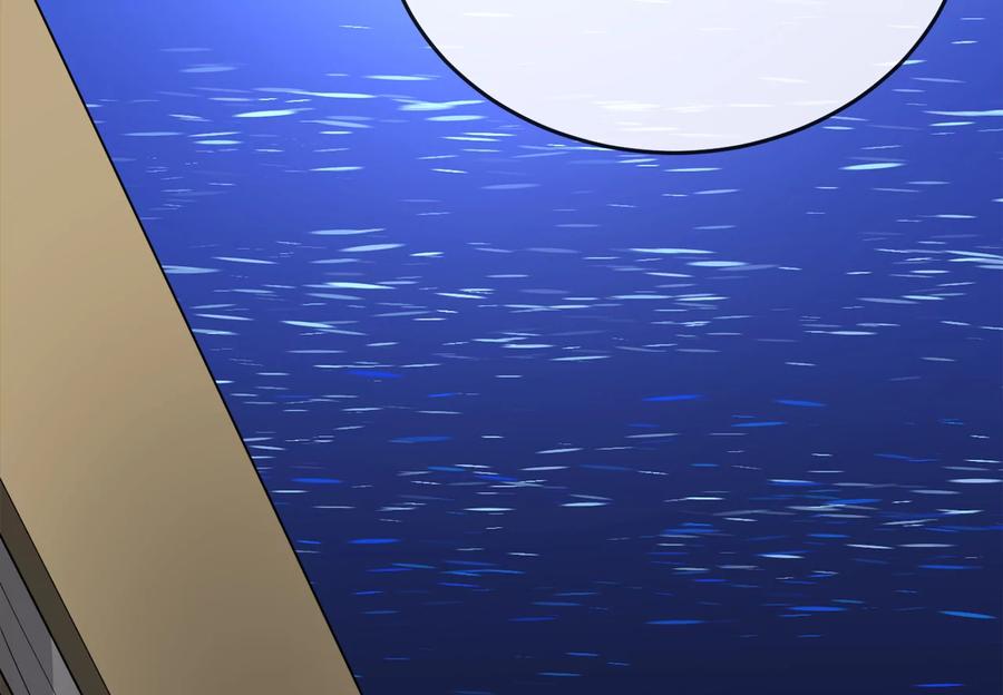 第267页