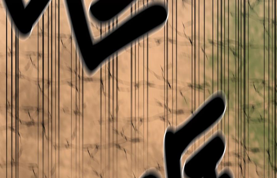 第204页