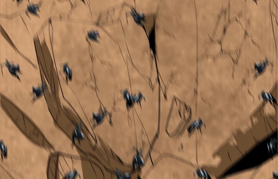 第206页