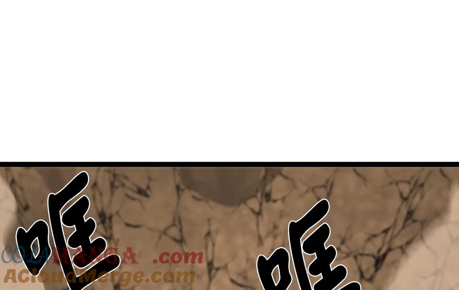 第229页