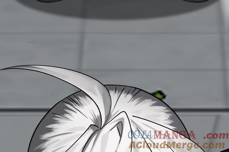 第245页