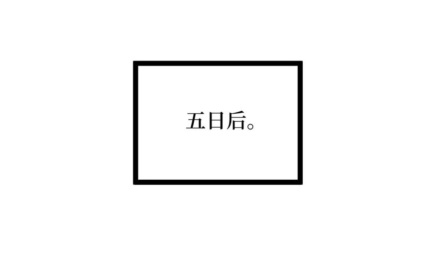 第223页