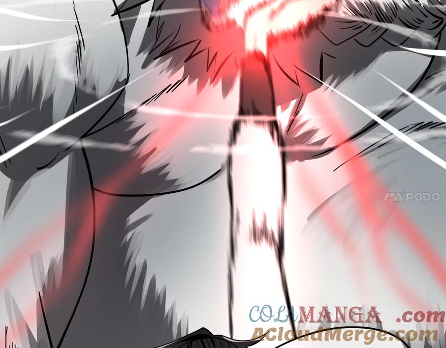 第229页
