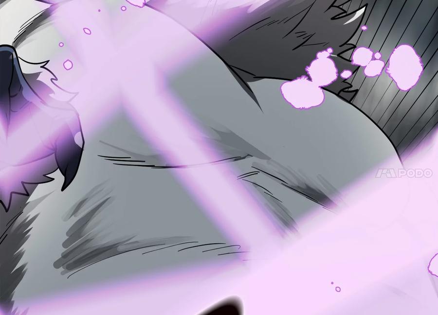 第236页