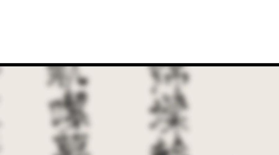 第299页
