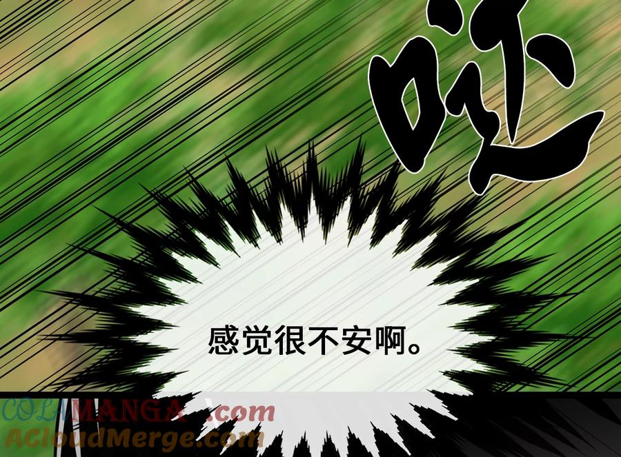 第217页