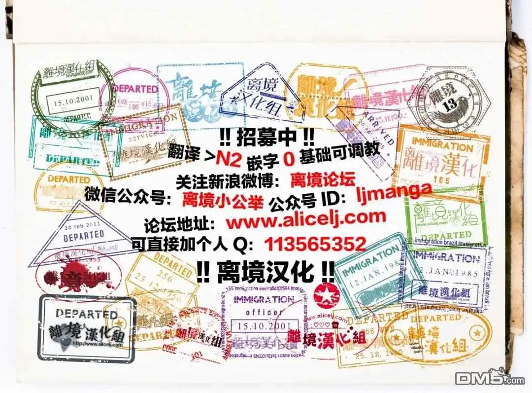 第41页
