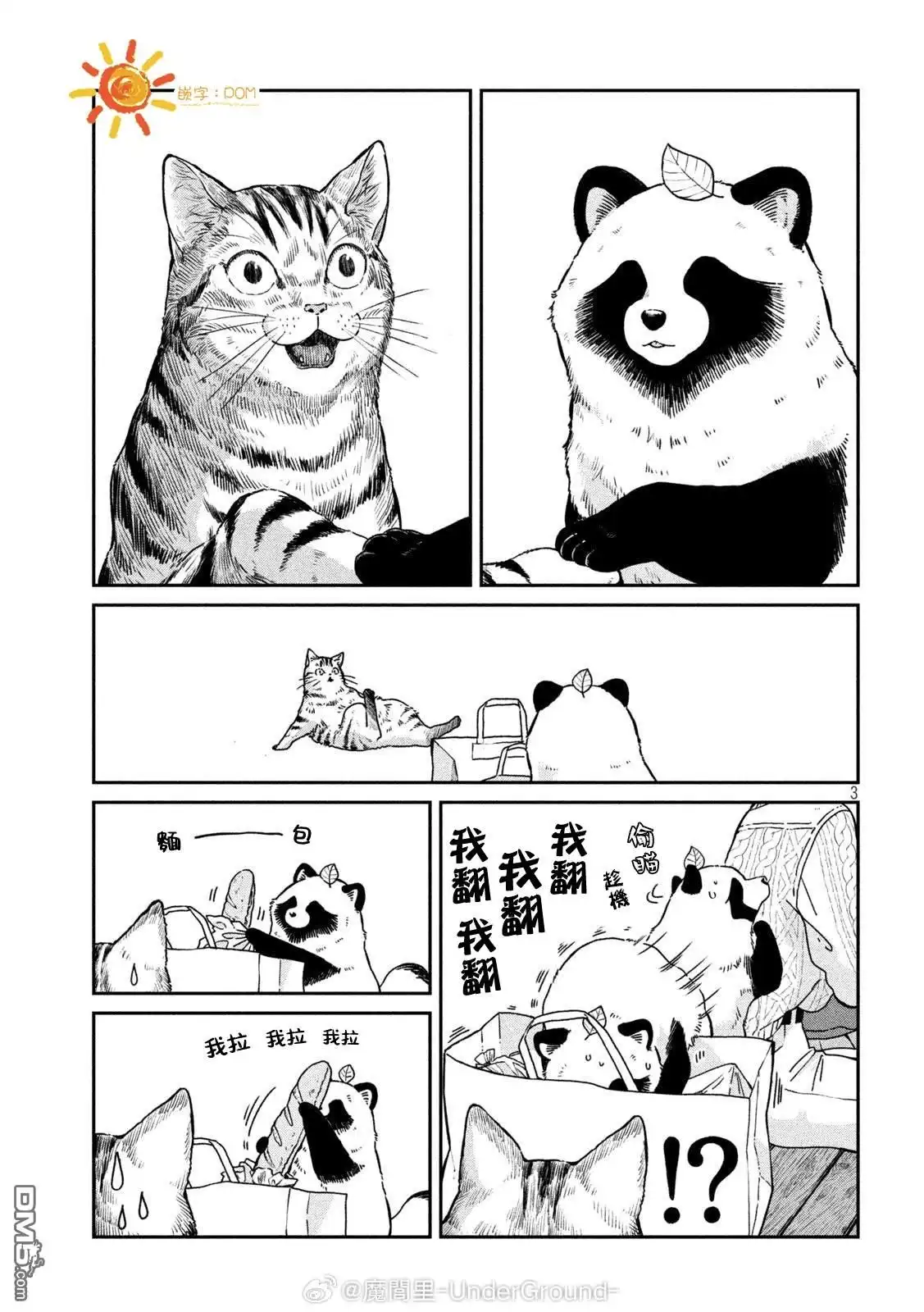第3页