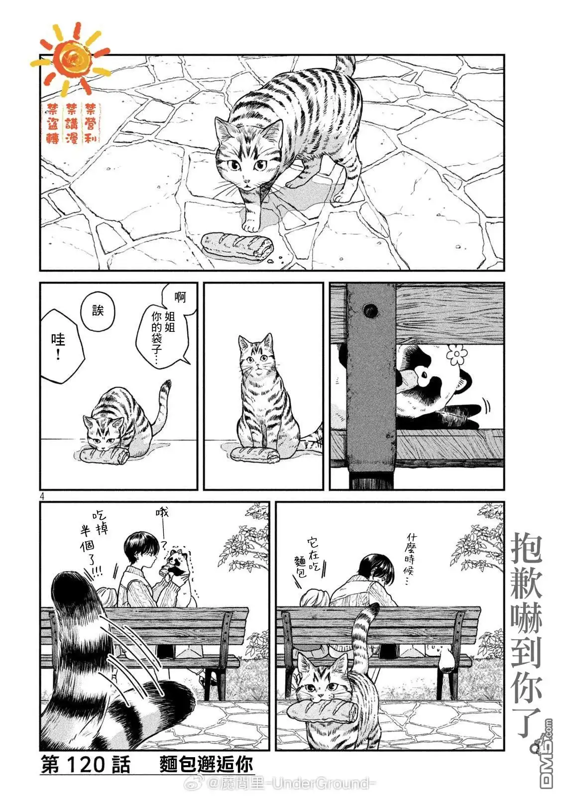 第4页