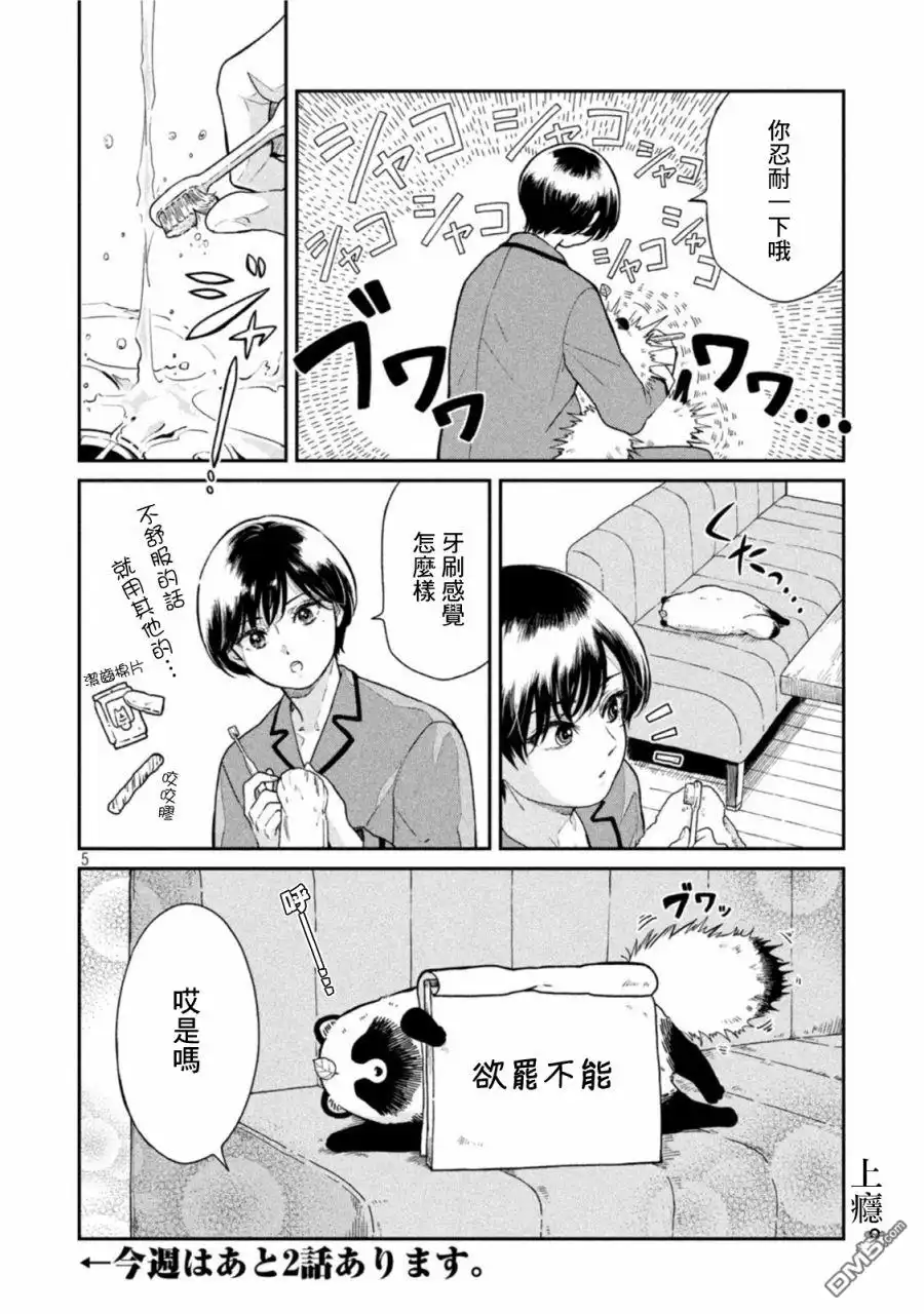 第5页