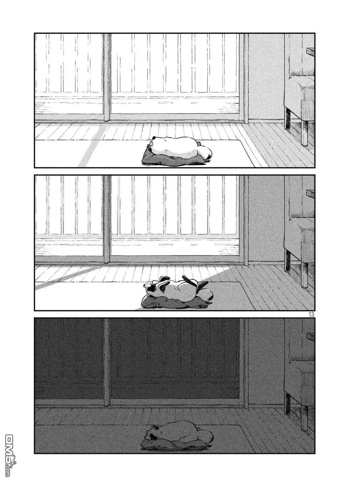 第13页