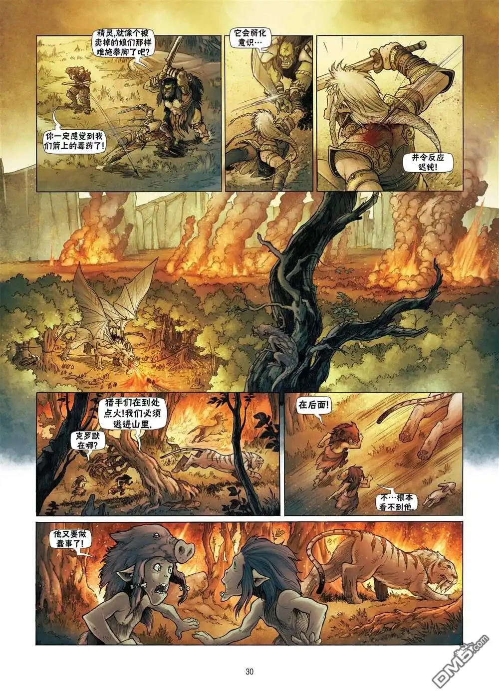 第5页