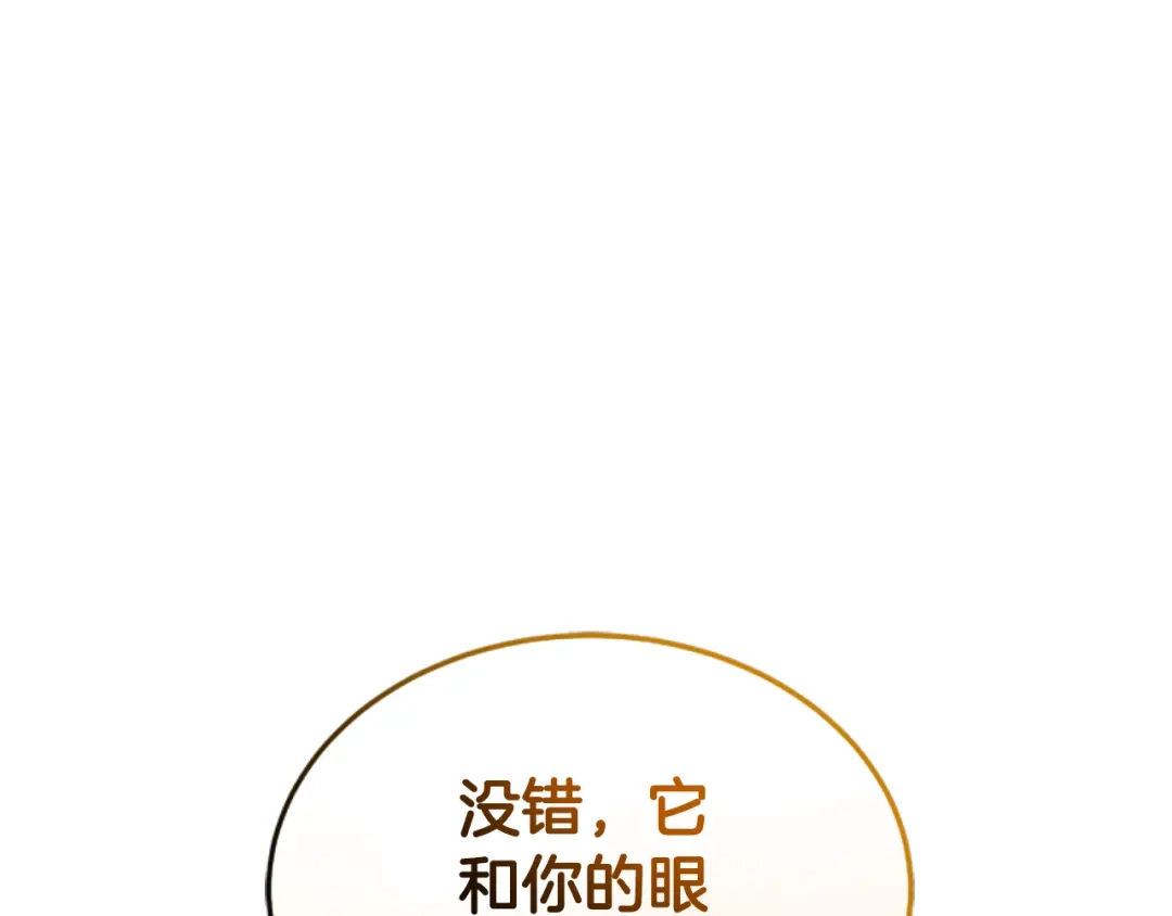 第233页