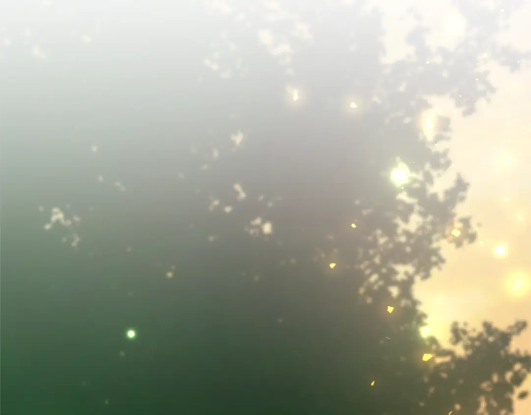 第240页