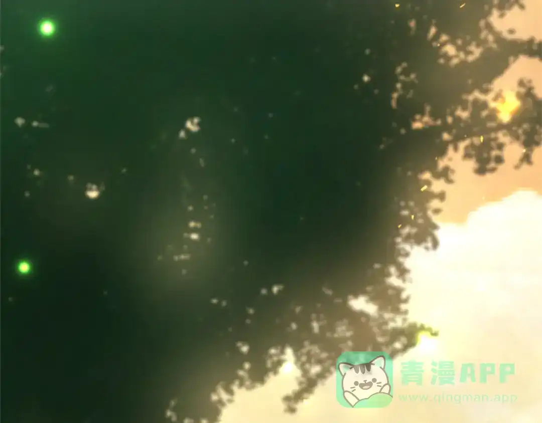 第241页