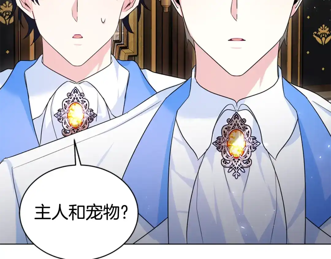 第213页