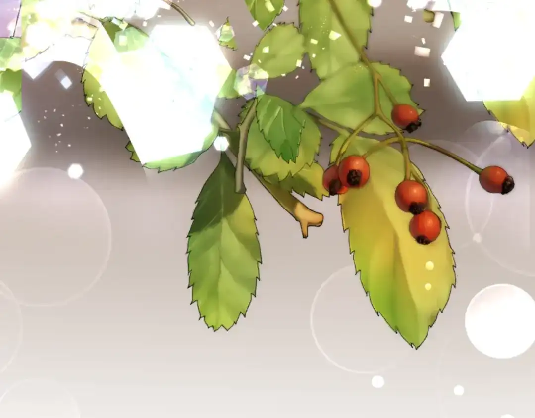 第177页