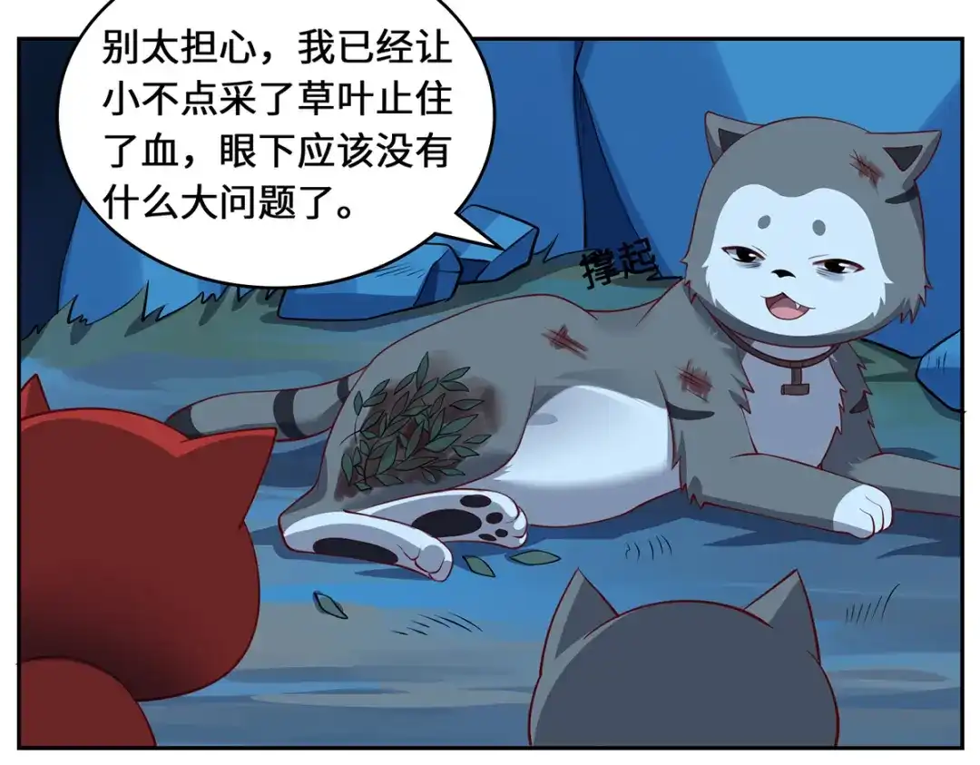 第97页