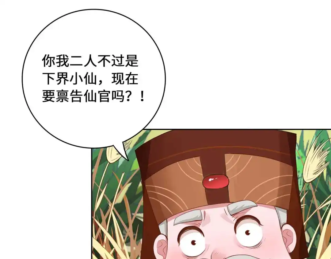 第219页