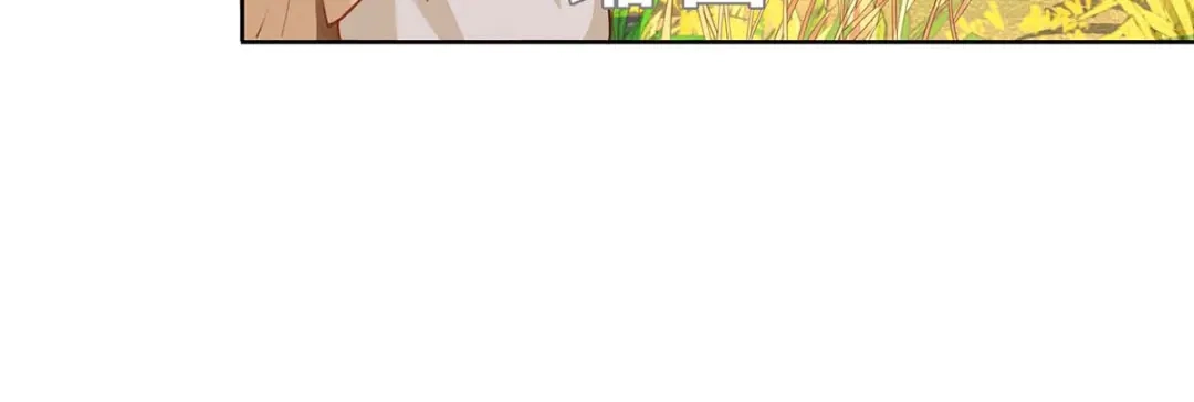 第238页