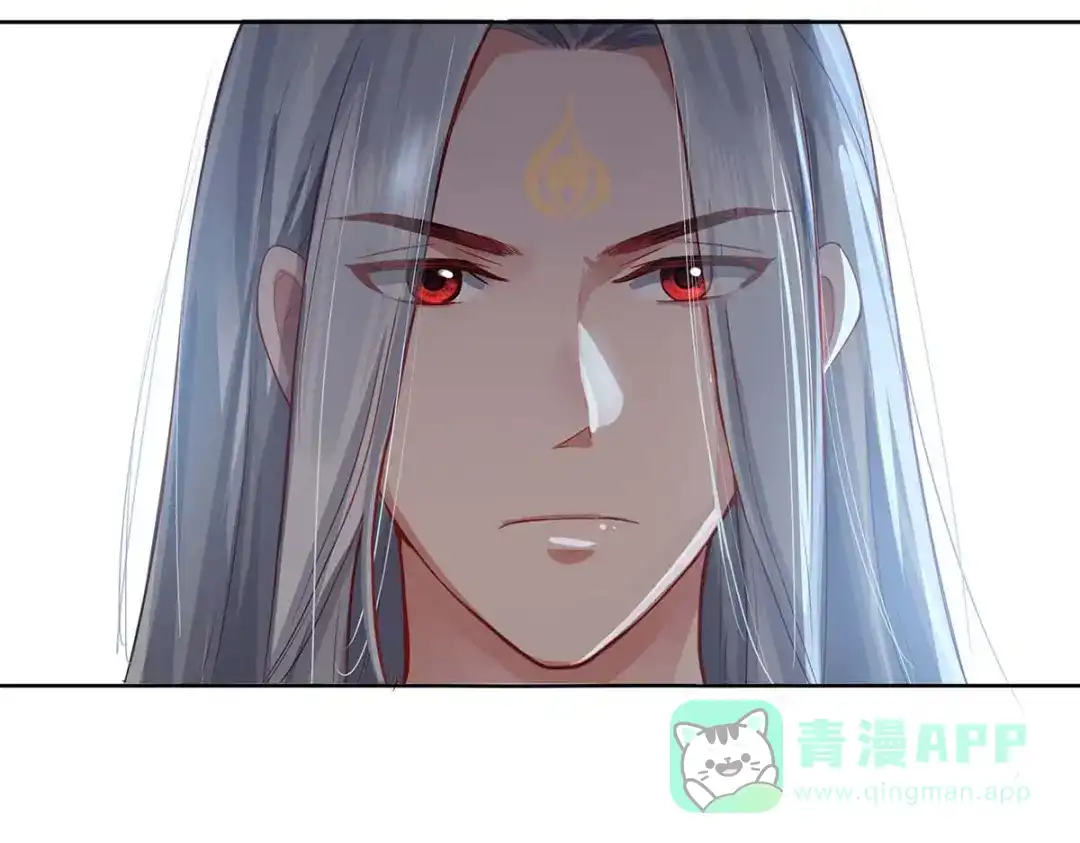 第251页