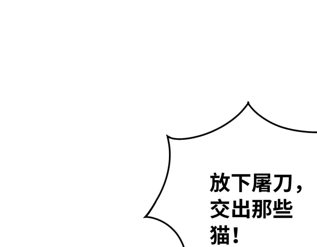 第260页