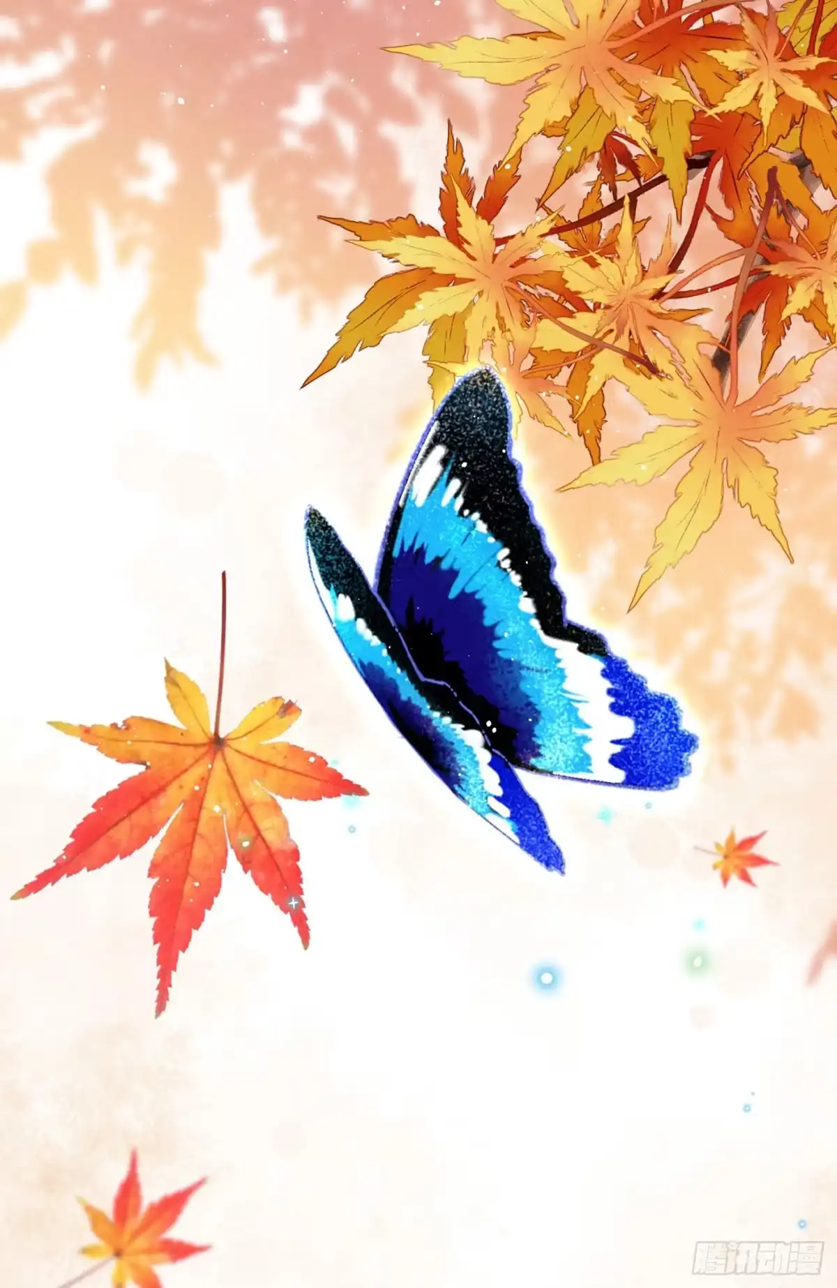 第49页