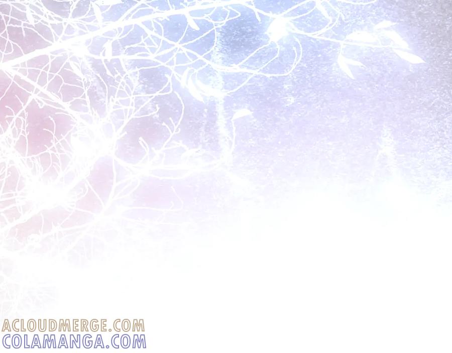 第221页