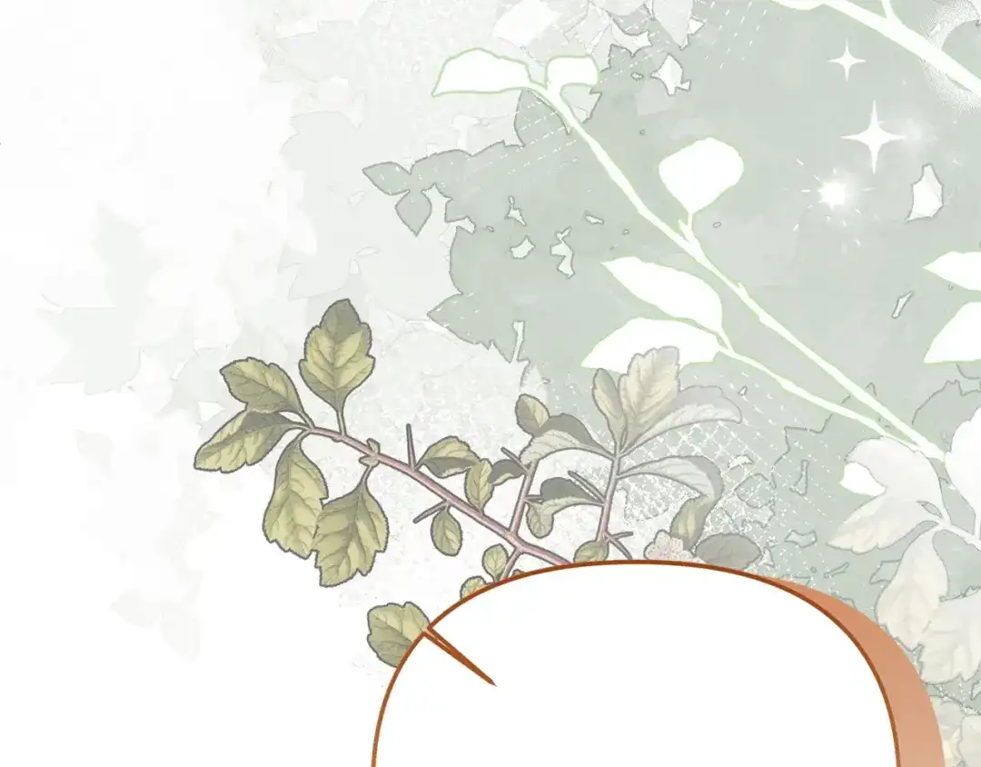 第241页