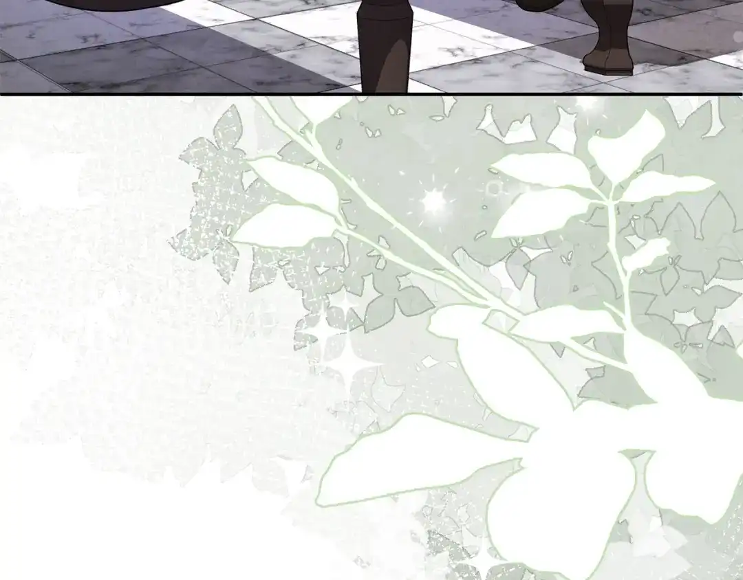 第244页
