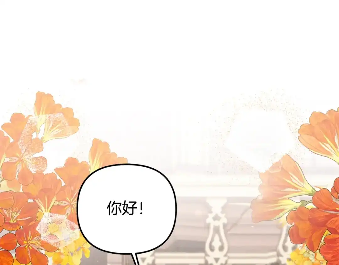 第209页